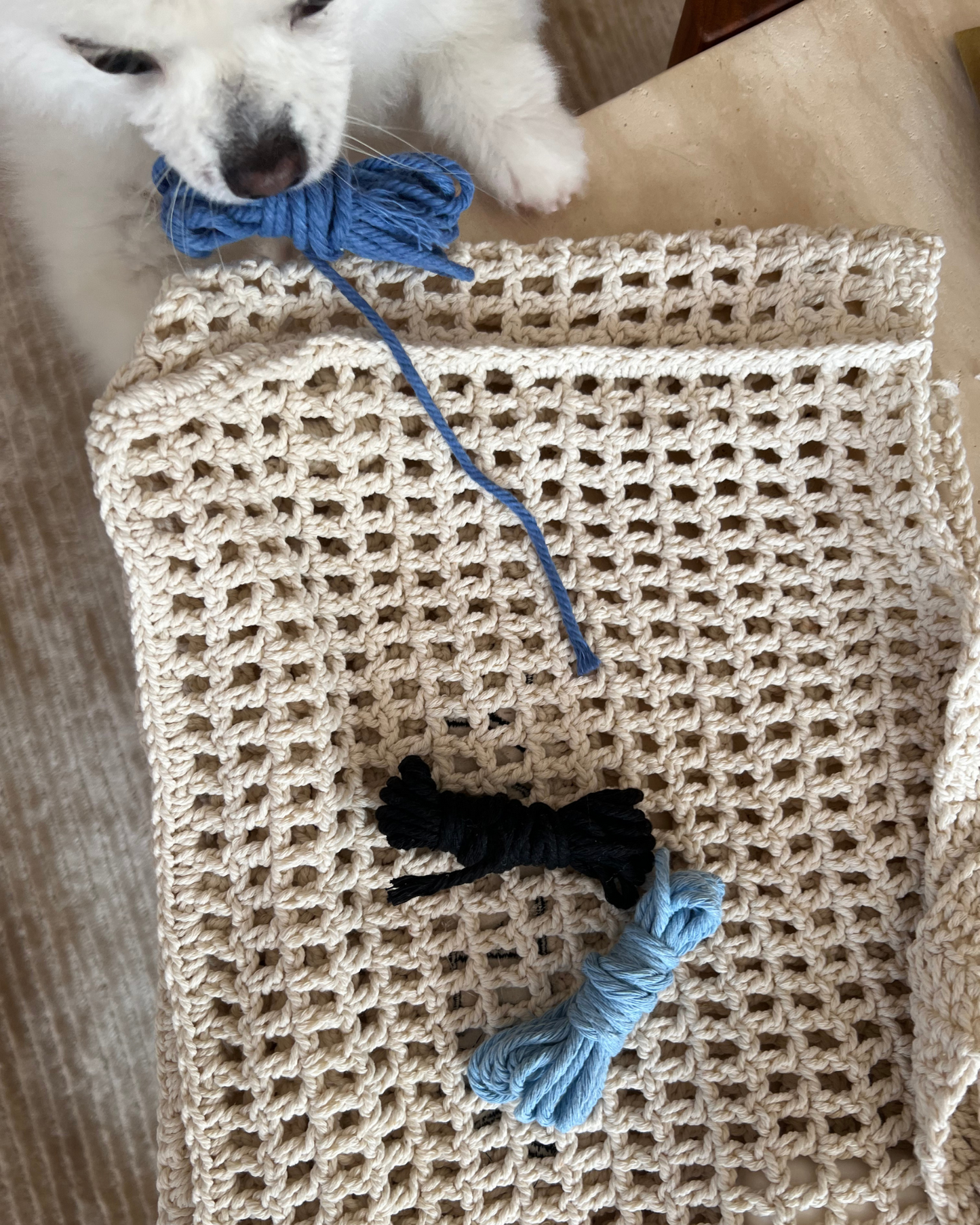 Holiday Crochet Tote