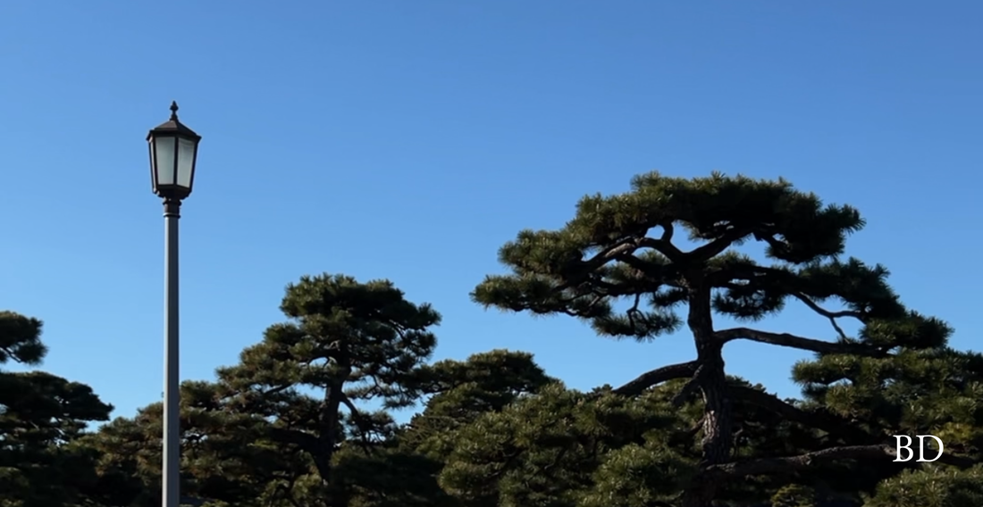 Art I Didn't Ask For III - New Year's Love Note from Rachel