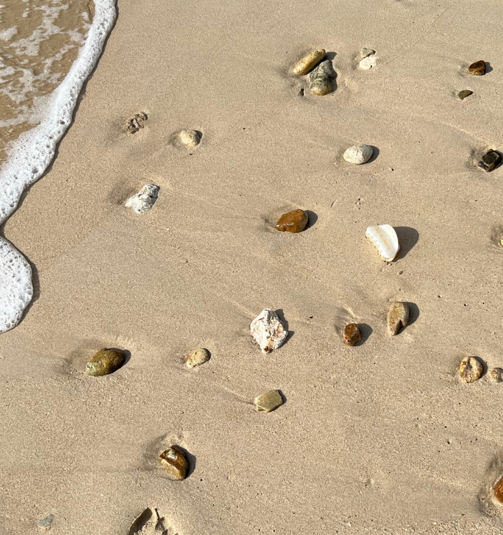 Seashells & Coffee